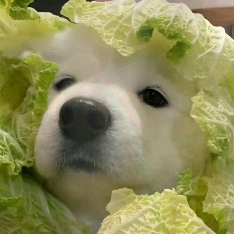 彭于晏_头像