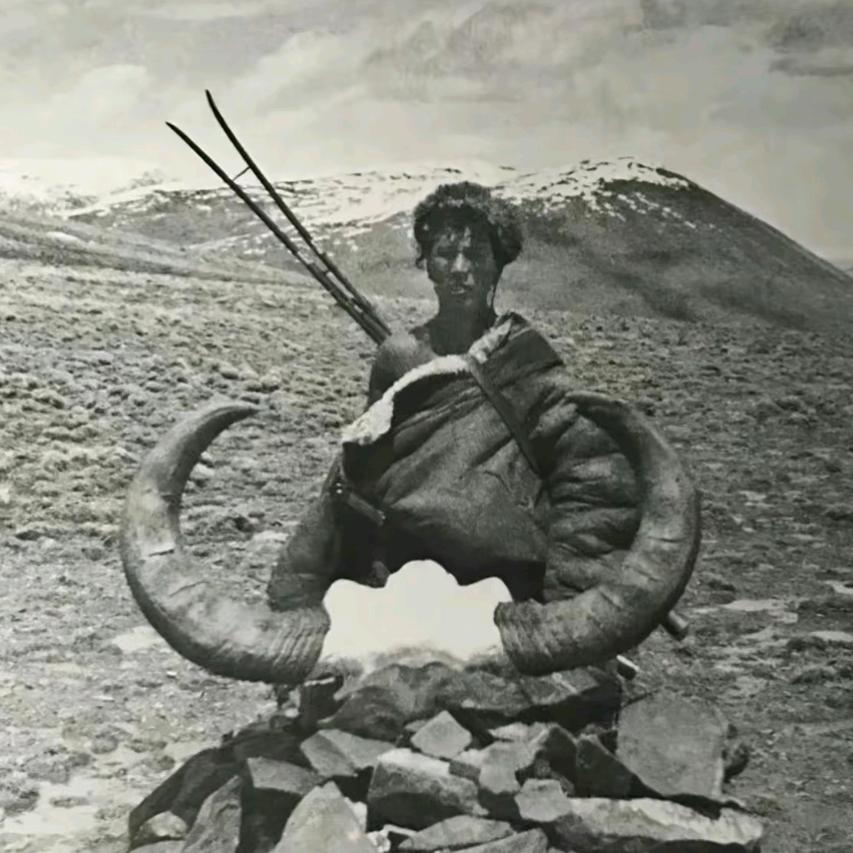 -    潇洒的康巴人