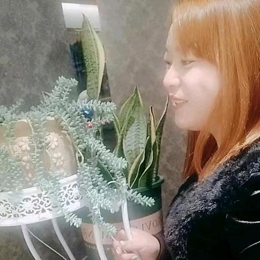 美好将来