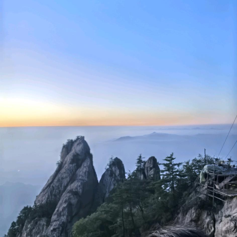 云迪农特产