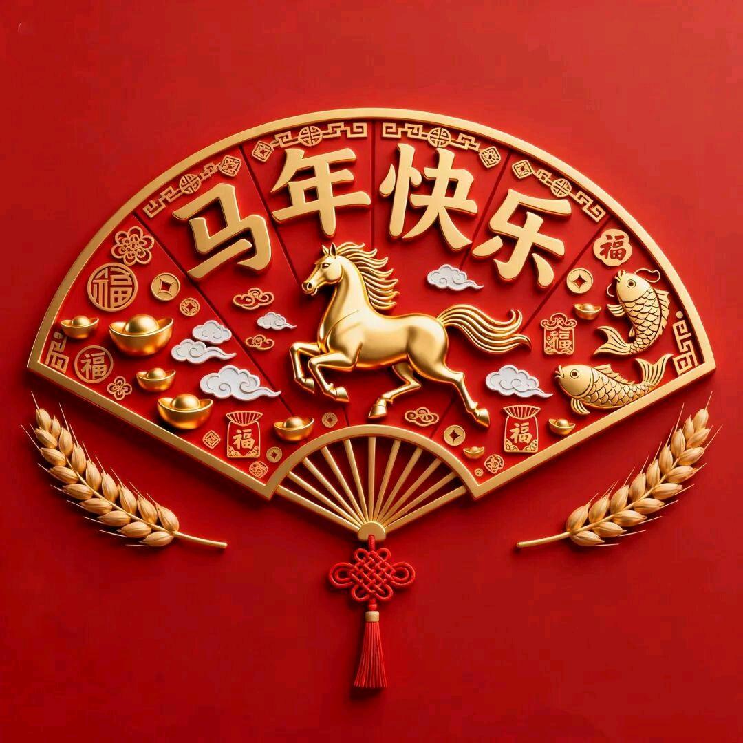 🇨🇳一级困难残疾人