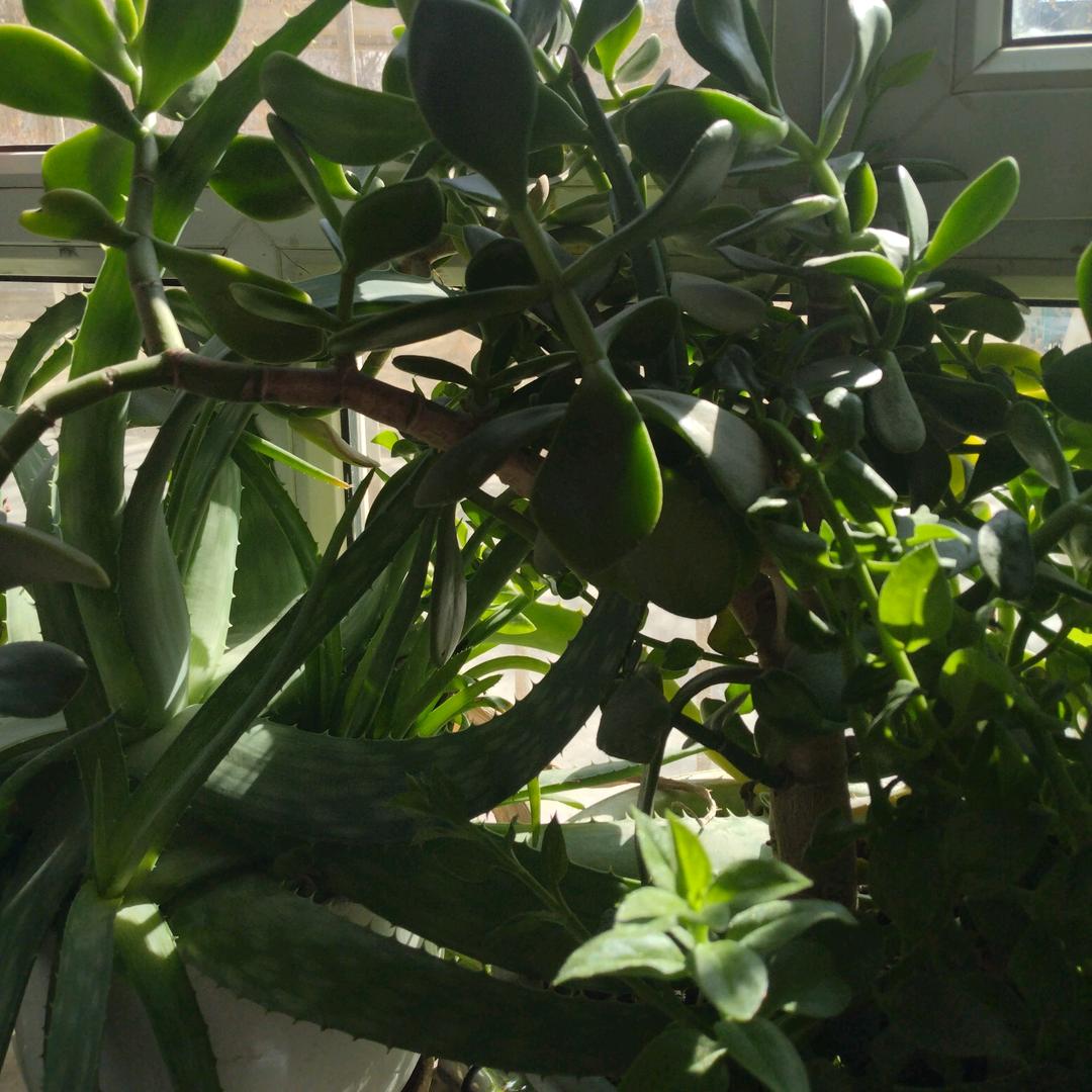 慧姐🌺🌺🌺🌺