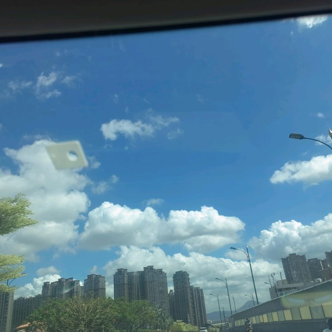 楠楠