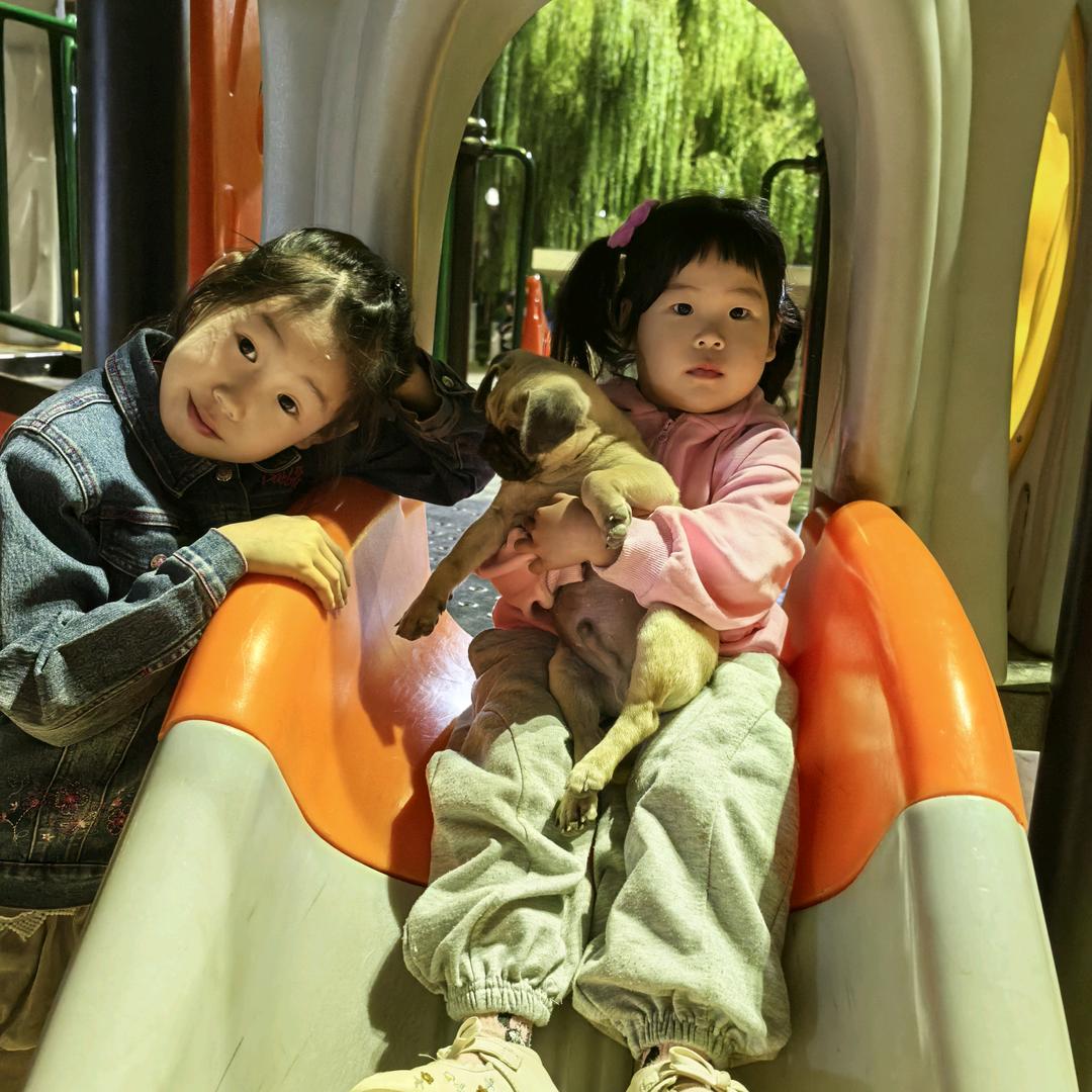 喜乐先生的日常