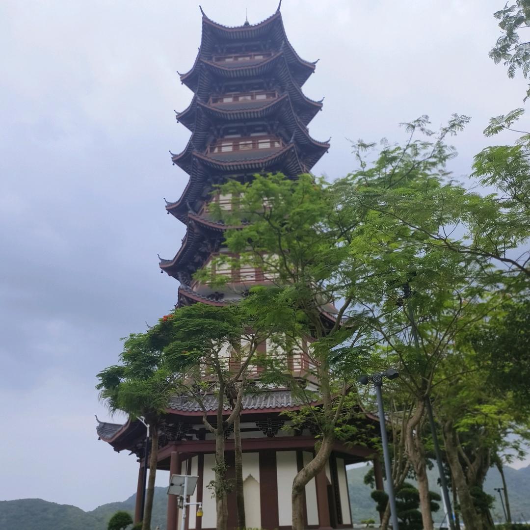 今生有你就足够