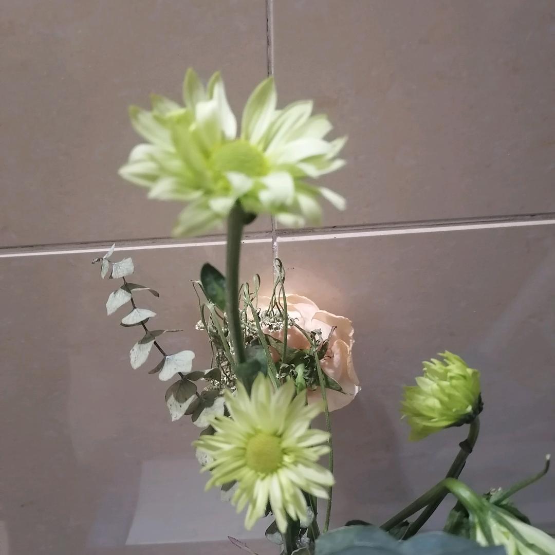 老何