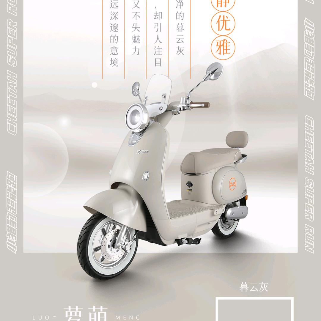 老大武陟县五星钻豹电动车（北郭店）