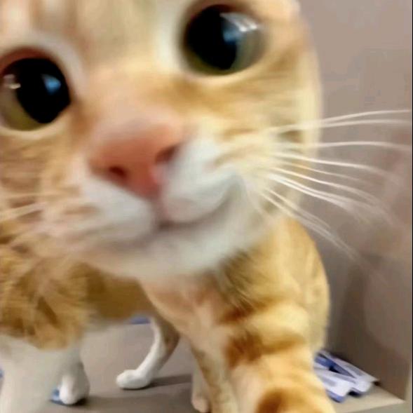 釉