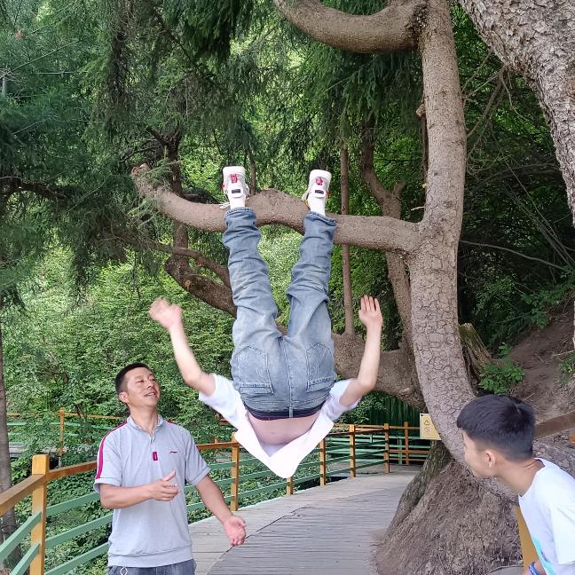 丹哥。
