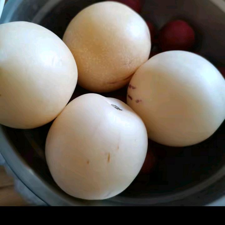 小辣椒