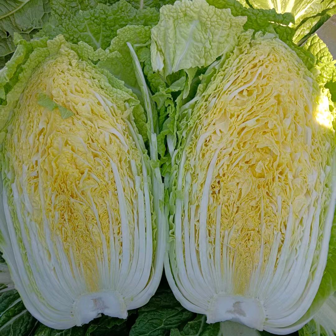 农村大帅的快乐生活。