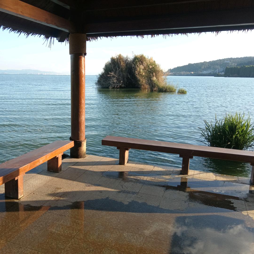 一个老实的农民