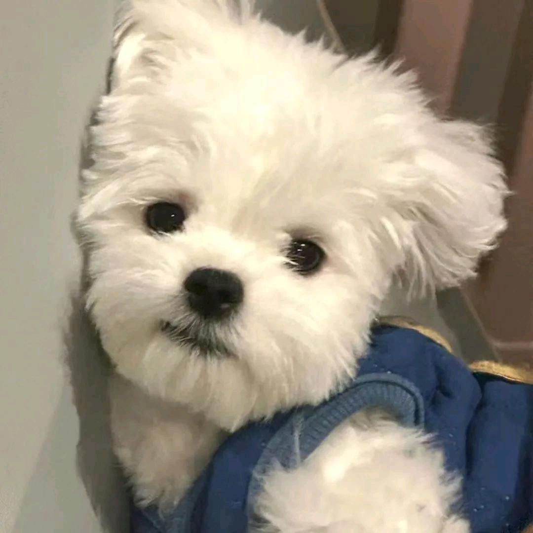 什么名字还没被用