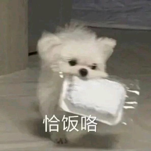 嗦粉去