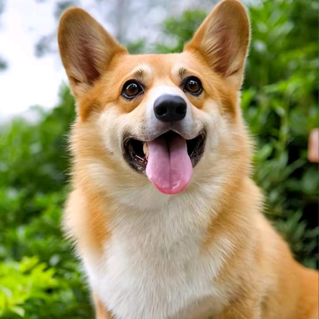 赣州华姐。