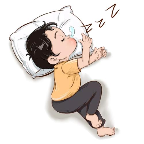 小朱野生茶