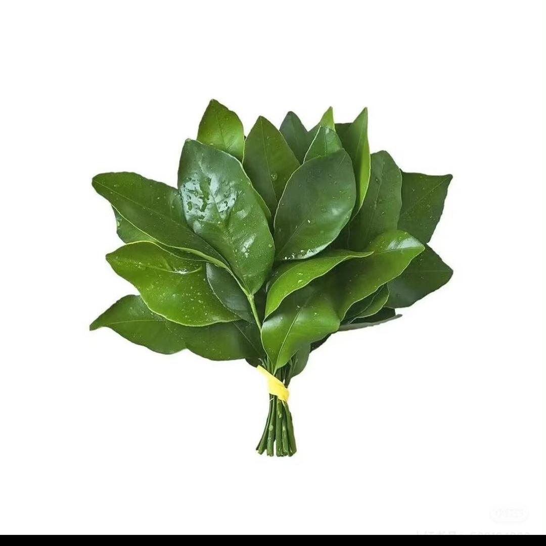 小暖宝淘气