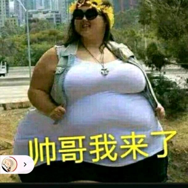 取个名