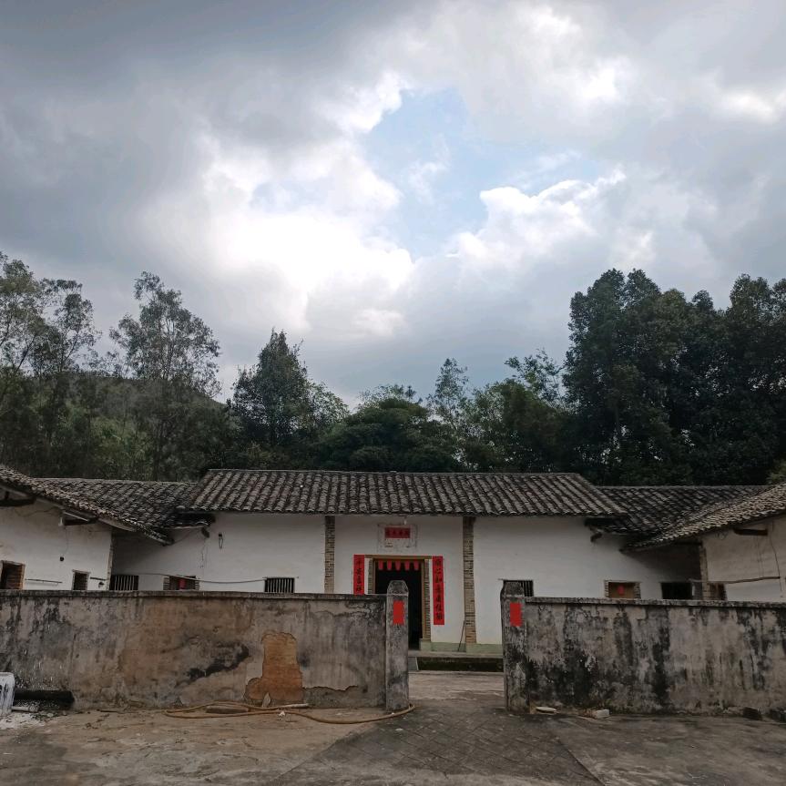 @陈皮