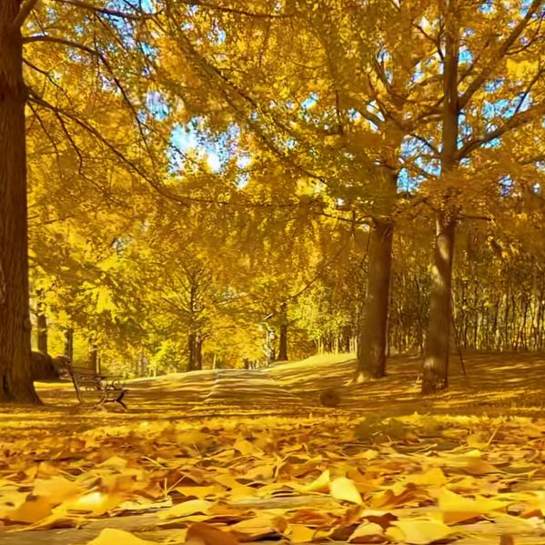 এ᭄过期的ꦿ꯭ꫛ誓言ꫀꪝ