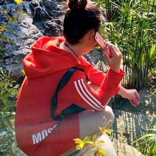 寒梅敖霜
