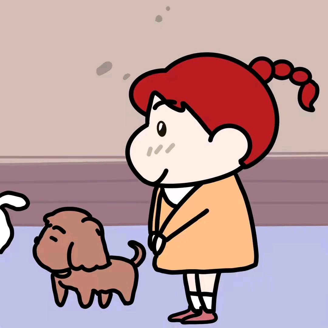 追风