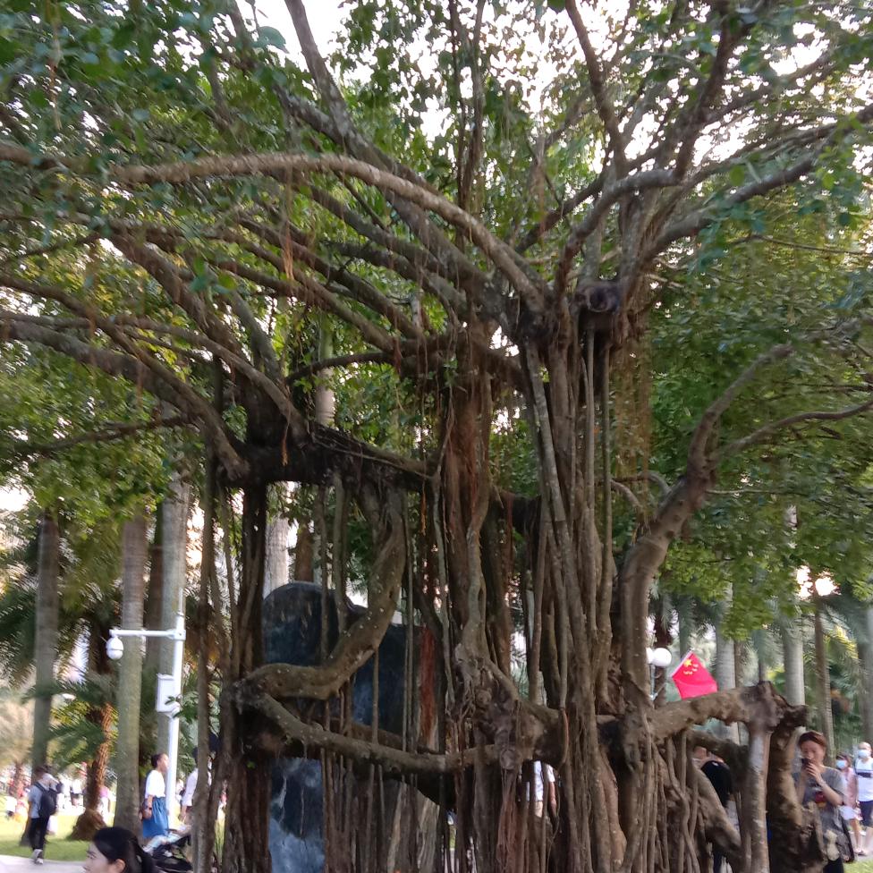 笑口常开玉