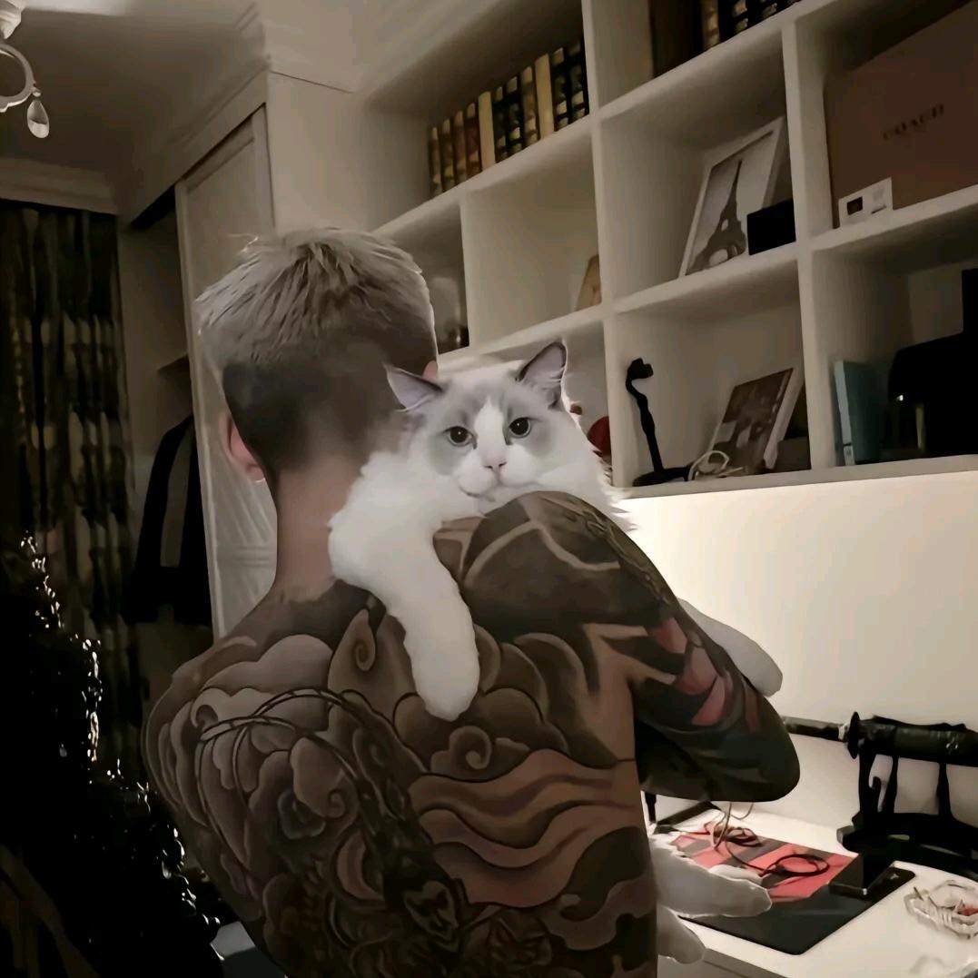 你的贤妻