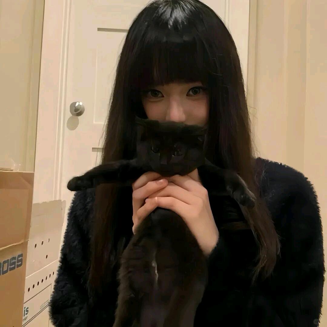 内向小鲨鱼
