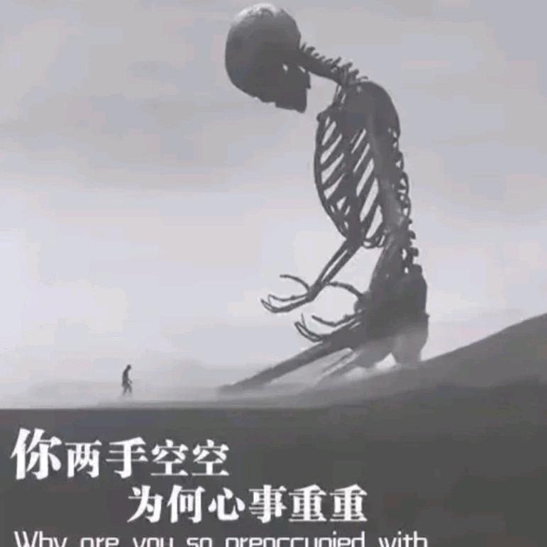 ꧁༺归零༻꧂