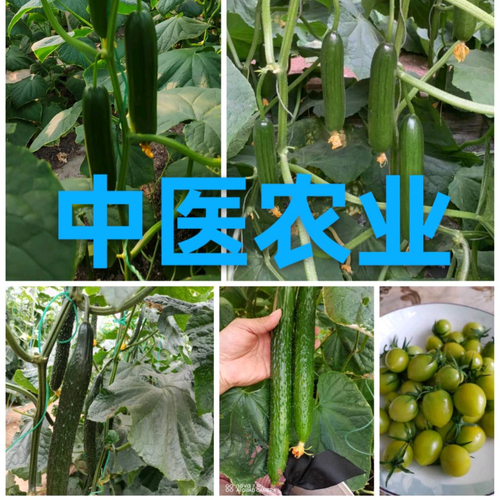 富万民高端农资