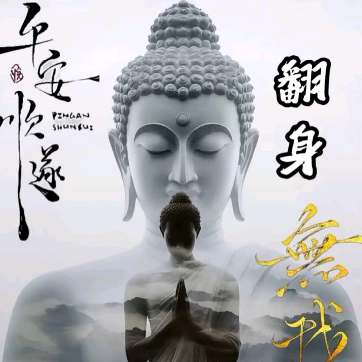 ✨️青莲✨️