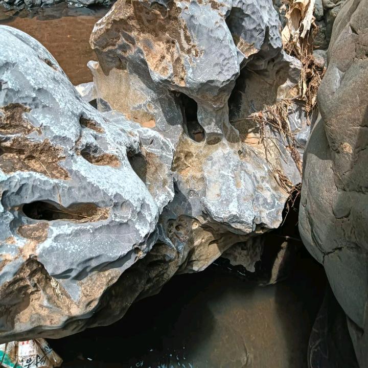 想你的时候望月亮