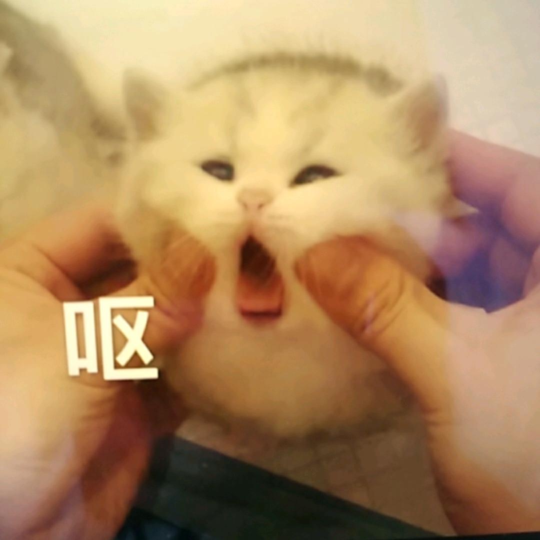 一叶知秋