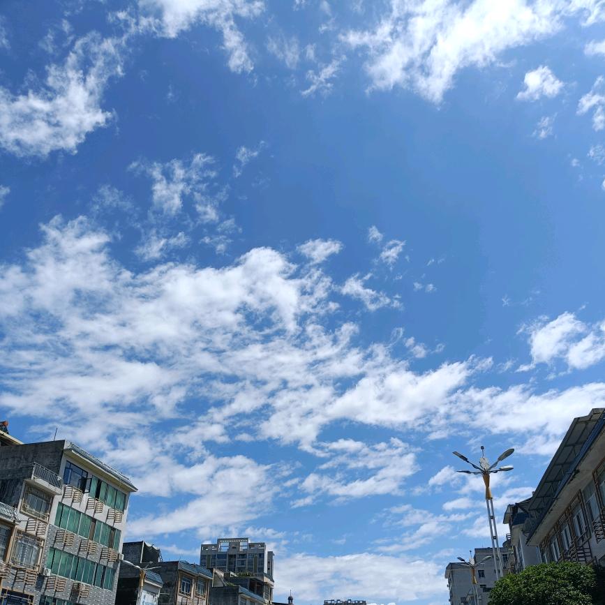 湘思渝❤️玉米酒