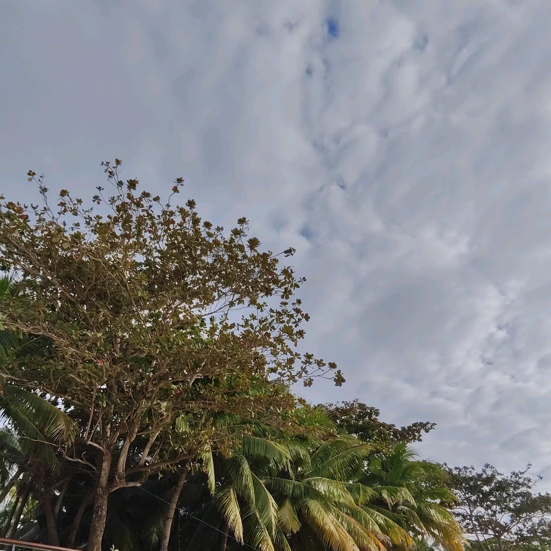 五旬老头守国门