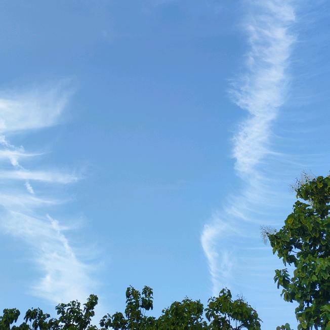 🦋初一 红桃粿