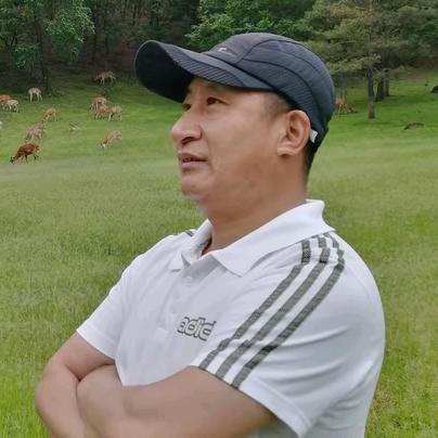 云游伊春