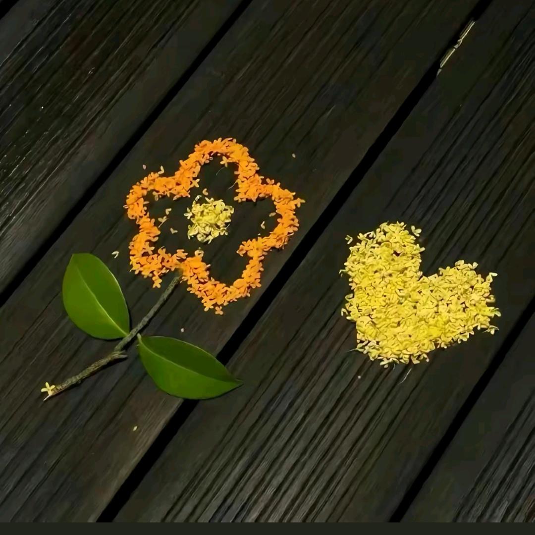 YOYO
