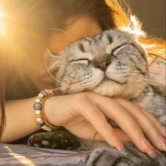 怎怎☀