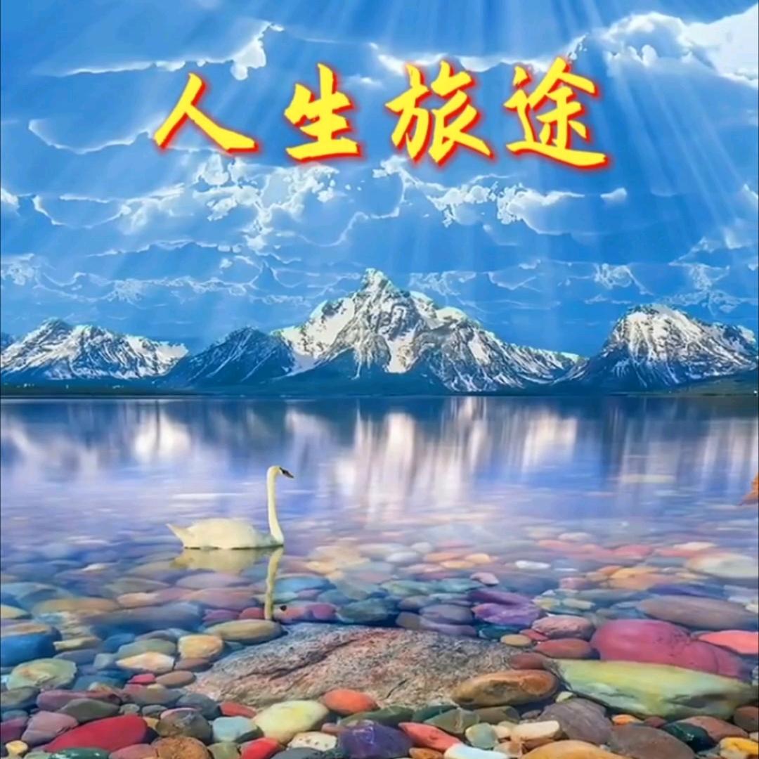 🍵人生如茶🍵