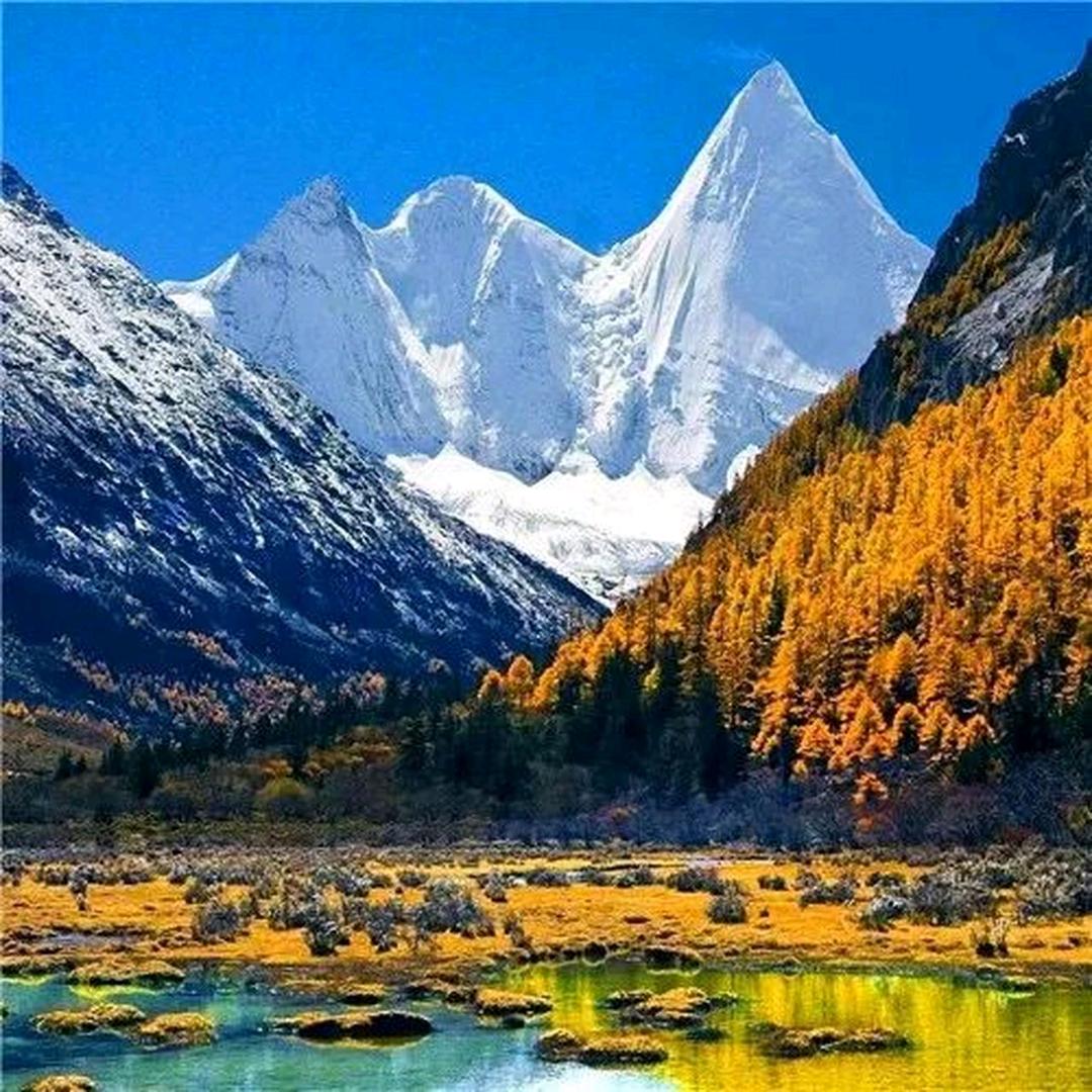 难舍军旅情_a