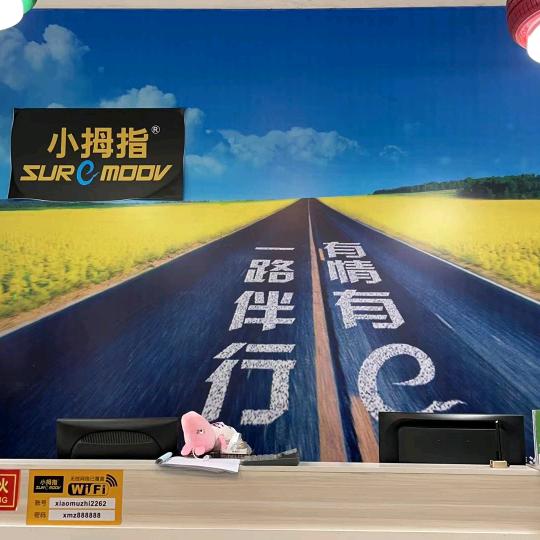 潜江小拇指刘三姐