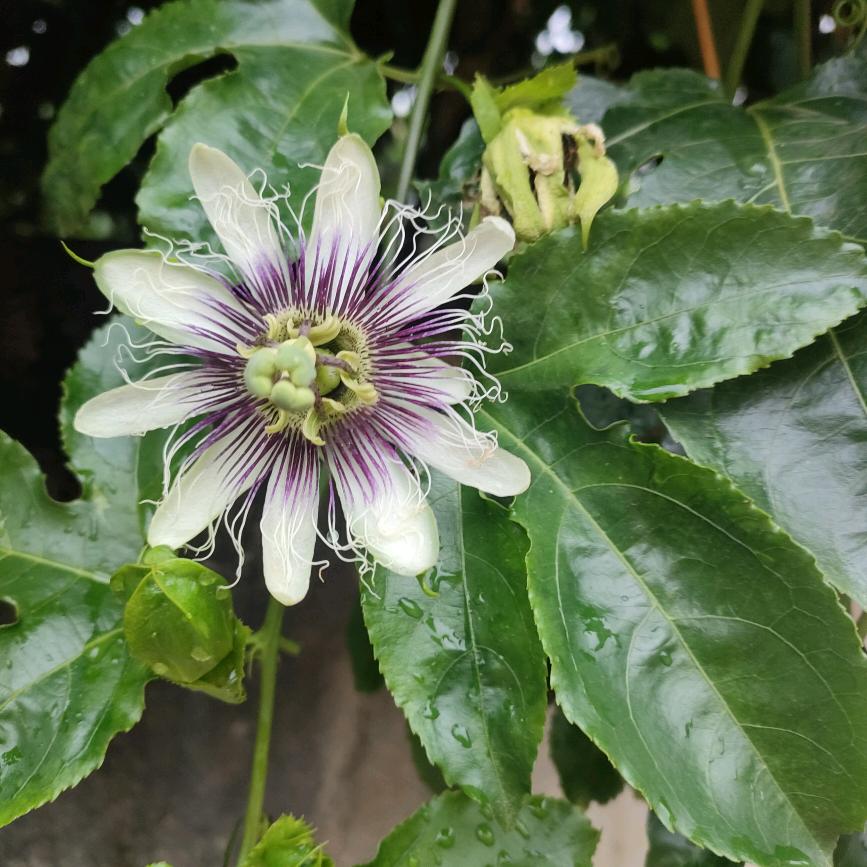 习惯你的习惯💑