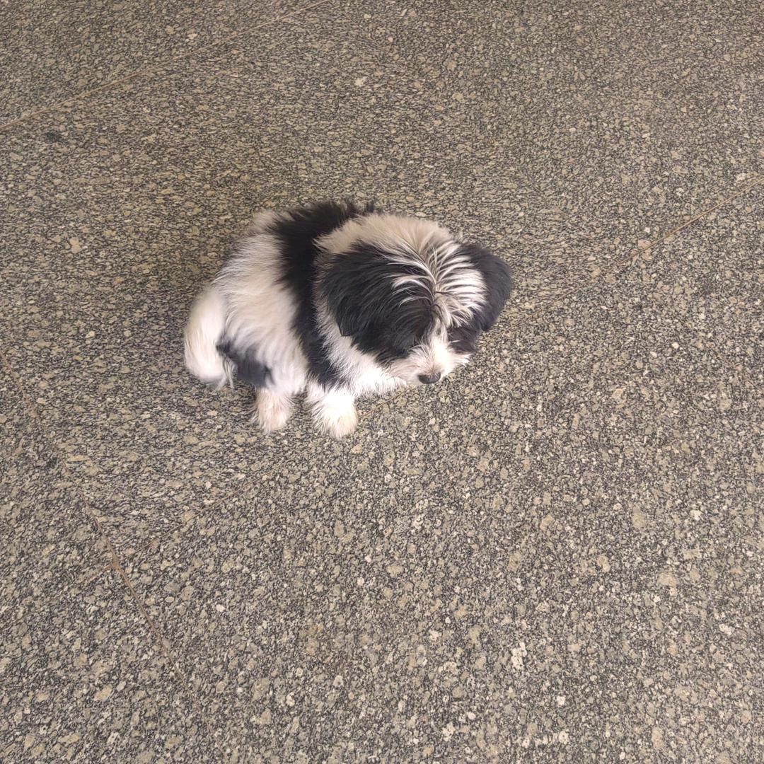 不