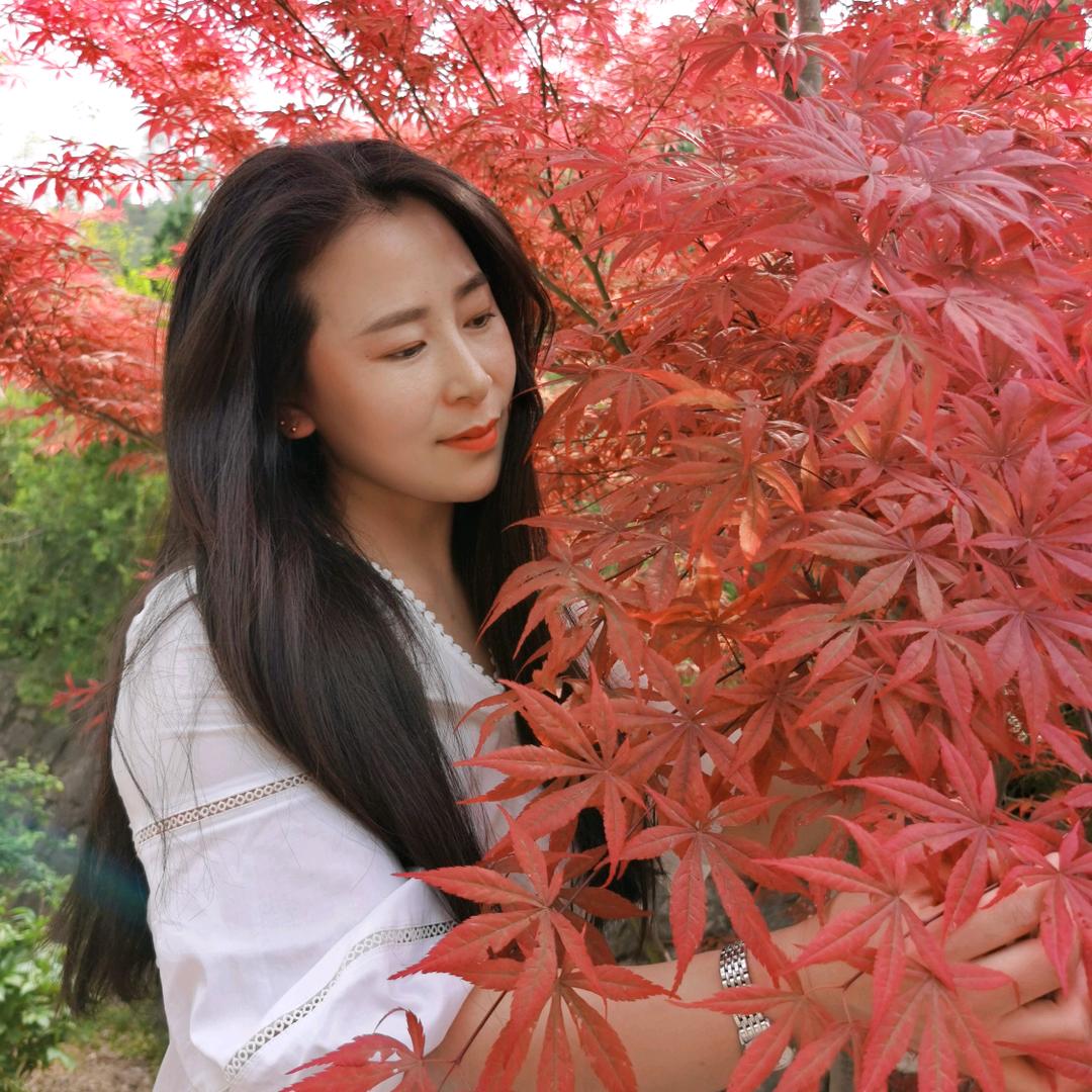 李娟家电