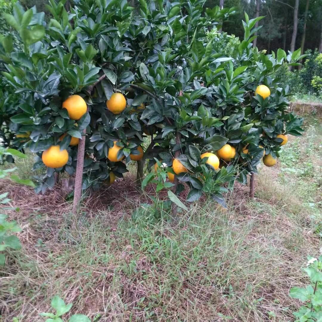 锁心锁爱。