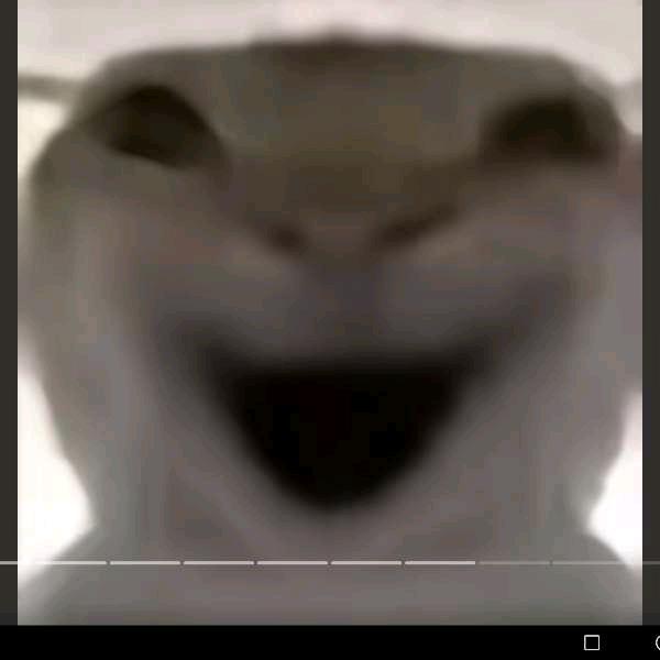 rienwkqjl