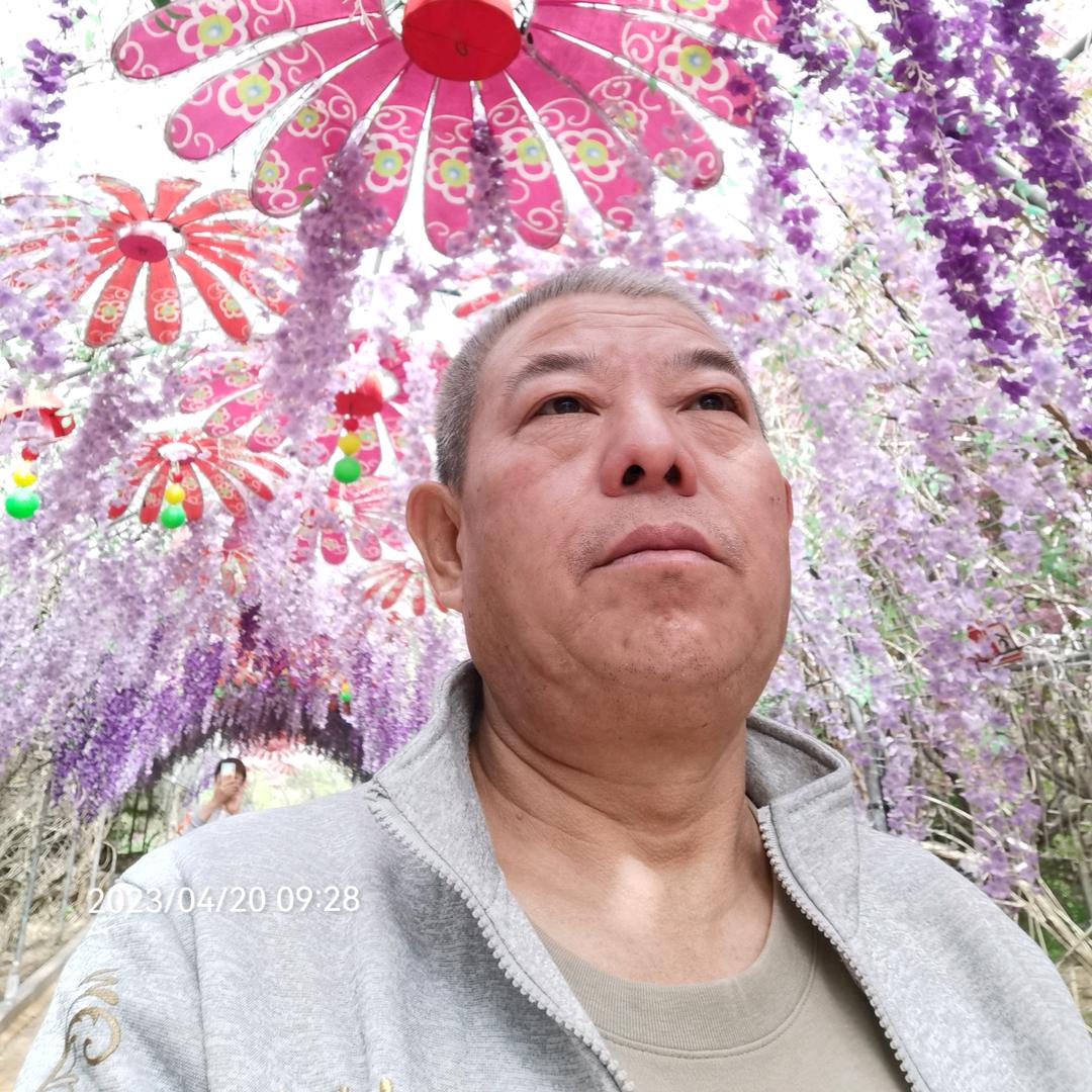 喜清澈见底欢头像
