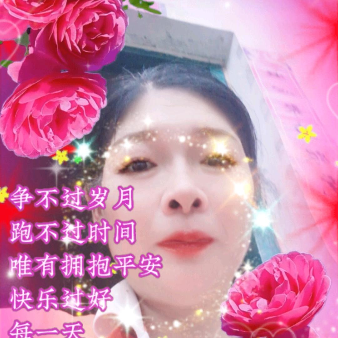 猪猪豆